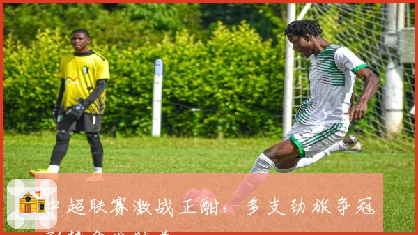中超联赛激战正酣，多支劲旅争冠形势愈发胶着